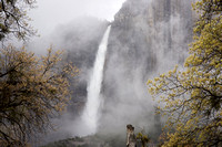 Yosemite Falls and Mists
