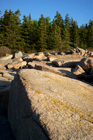 Acadia Pines