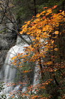 Main Falls & Foliage