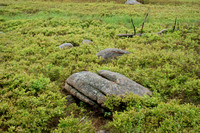 Granite Field