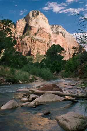 Afternoon Along the Virgin River