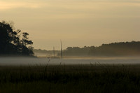 Morning Mists, Bidwell Creek