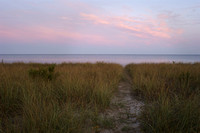 Beach Path at Dawn